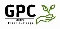 Product -  Green Plant Cuttings  - Netherlands