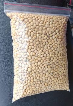 Soyabean Seeds from Khedutvanshi Enterprises Soyabean Seeds - Khedutvanshi Enterprises - India