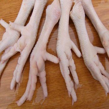Wholesale & Bulk suppliers Frozen Halal Chicken Feet, Paws, Breast, Drumsticks Natural Best Grade - TRADING BROS LLC - United States