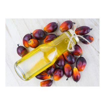 High quality refined palm oil wholesale distributor supplying pure palm cooking oil for frying baking and food manufacturing companies with bulk packaging options for international importers and global buyers. - SATTER FOOD AND BEVERAGE - Netherlands