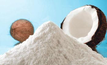 Coconut Milk Powder Organic Yes Texture Powder Shelf Life 2 YEARS Place of Origin THAILAND Intended Use Food Ingredient Degree of Processing Dried, Fresh -  DAEWKAEW PANTAMANG Co., Ltd - Thailand