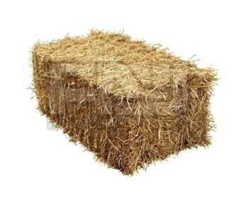 Premium Rice Straw Hay for Horse Cattle Pig Camel Live Stock Feed Sourced From Pakistan from AZ Trader Premium Rice Straw Hay for Horse Cattle Pig Camel Live Stock Feed Sourced From Pakistan - AZ Trader - Pakistan