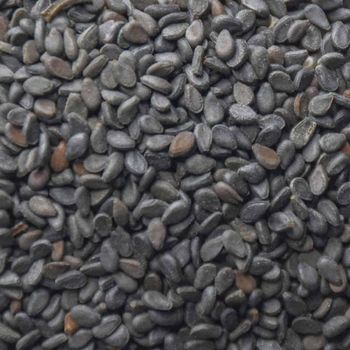 Export Quality Roasted Black Sesame Seed Kernel Product With Processing And Secure Packing For Food Ingredient from malter group Export Quality Roasted Black Sesame Seed Kernel Product With Processing And Secure Packing For Food Ingredient - malter group - Tanzania