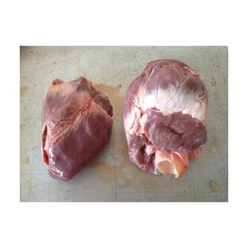 Wholesale frozen pork hearts available for immediate delivery and distribution - MASI TRADING GMBH - Germany