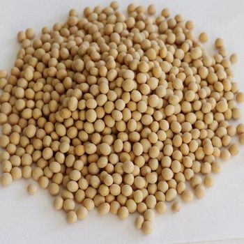 GMO SOYBEANS SEEDS - AGRO AFRIQUE COMPANY LIMITED - Tanzania