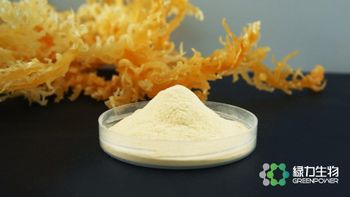 Carrageenan Semi Kappa Refined Cas Number 9000-07-1 Chemical Identifier E407a Model Semi-refined Carrageenan Mesh Sizes 60 Mesh, 80 Mesh, 120 Mesh, 200 - Fujian Green Power Biotechnology Co ., Ltd - China