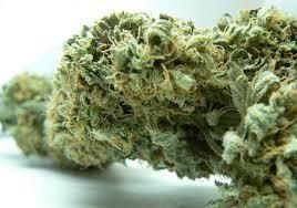 Potency Cannabis HPLC Organic Yes Origin Regional Features Organic Product Form Cannabis Potency Testing Method Hplc Packaging Size 1000kg, > 2000 g - Chezlynne Trading (Pty) Ltd  - South Africa