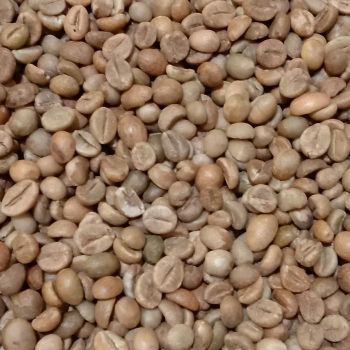 Authentic Toraja Robusta Green Coffee Beans – product photo, Long Green Beans products found from trusted suppliers, wholesalers, manufacturers & exporters Listing