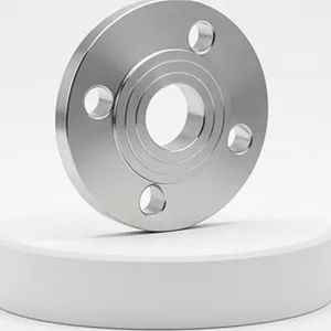 Premium SS304 & SS316 Butt Weld Neck Flange for Industrial Strength - ZHEJIANG WELFLOW VALVE CO., LTD - China
