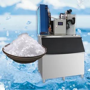 Large Capacity Commercial Automatic Flake Ice Machines for Fishery/Food Processing Plants - Huzhou Bingmai Catering Equipment Co., Ltd. - China