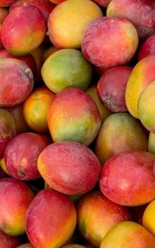 Premium Mangoes - Oceanwide - Kenya