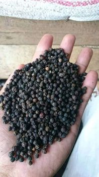 Black pepper – product photo, Refined Black Pepper products found from trusted suppliers, wholesalers, manufacturers & exporters Listing