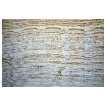 Top Quality Bleached Hardwood Kraft Pulpwood Pulp Baby Diaper Raw Materials Sanitary Napkin Materials Bleached Fluff Pu - MFD AGRICULTURE LTD - United Kingdom