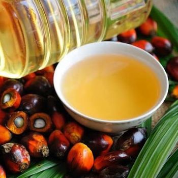 Refined CP66 CP8 CP10 Palm Cooking Oil Best Price Fast Delivery in Stock Buy Now Wholesale Cheap Price Red Palm Oil for - Thai Agri Company - Thailand