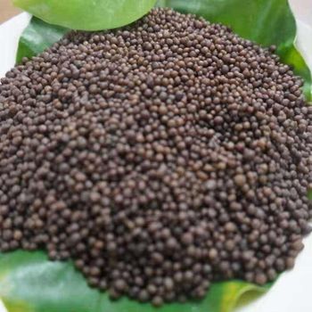 Premium Dap Fertilizer With Balanced Nitrogen And Phosphorus Content For Crop Nutrition And Strong Root Growth - TOSOH INTERNATIONAL - South Africa