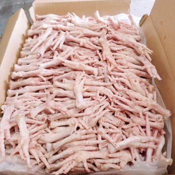 Bulk Frozen Chicken Feet & Paw Processed Cutting Grade Box Packaging Vitamins Top Grade AA best Price - TRADING BROS LLC - United States