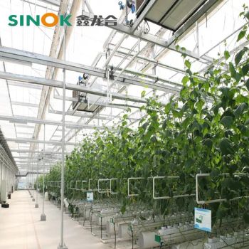 Agricultural Multi Span Plastic Hydroponics Growing System Greenhouse for Vegetable - Shandong Sinok Agriculture Technology Co., Ltd. - China