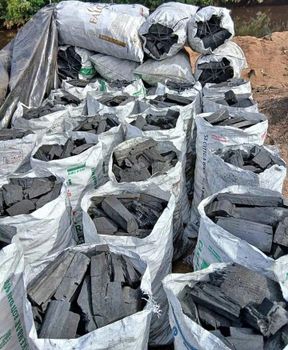 Wood Charcoal Color Black Grade Premium Material Hardwood Quality Grade Premium Place of Origin Indonesia Weight (kg) 10 kg per bag - PT ANAK MENOL IKAK - Indonesia