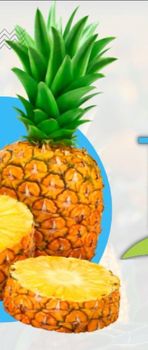 Pineapple - Ricbeth - Nigeria