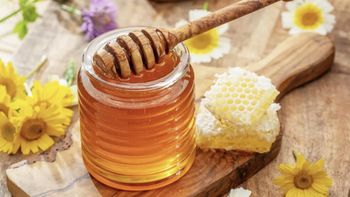 Premium Tropical Honey - PT Ferme Indonesia Jaya - Indonesia