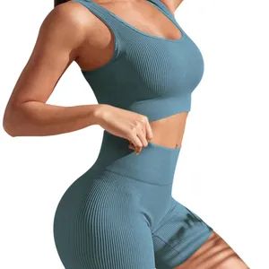 2-Piece Seamless Sports Crop Top High Waist Sportswear Gym Fitness Sets - Seawind Apparel Ltd - China