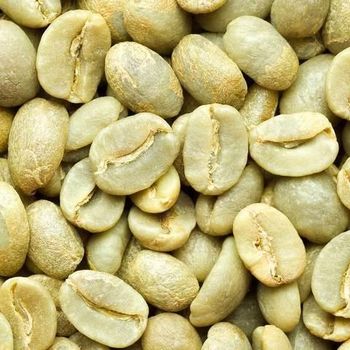Ethiopian Arabica Green Coffee Beans Yirgacheffe| Guji | Sidamo | Teppi | Djimma – product photo, Main Products