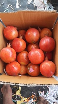 Pomegranate - karvi agro limited - India