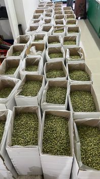 We are pleased to offer premium quality Green Cardamom Seeds, carefully selected for their rich aroma, natural flavor, and high purity. Our Green Cardamom Seeds are ideal for food processing, spice blending, beverages, bakery products, and culinary use. We supply export-grade cardamom with competitive CIF prices to your destination port. Kindly share your required quantity and destination port for our best CIF quotation. - Nedvixs Company Limited - Kenya