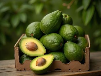 Avocado & Tropical Fruits - Savannah Source Global Trade Ltd - Kenya