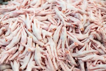 Premium Quality Halal Frozen Chicken Feet | Frozen Chicken Paws Bulk Stock at Wholesale Cheap Price - Carla Pisselli Commercio - Brazil