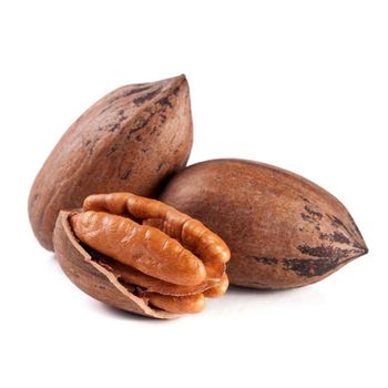 High Quality Fresh Harvest Pecan Nuts South Africa Wholesale Processing High Quality Cheap Pecan Nuts For Sale +27739729209 - KOFONS BUSINESS SOLUTIONS PTY LTD - South Africa