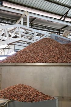 Cocoa beans - ESKAY-ZION CAPITALS - Nigeria