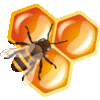 Product from APICOLTURA LATERZA Product – product photo, Organic Bee Honey products found from trusted suppliers, wholesalers, manufacturers & exporters Listing