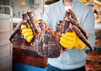 Premium Live King Crab - CJ Trading LLC - United States