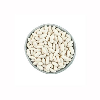 Natural white kidney beans available in large volumes for food processors and importers - Medcompex Gmbh - United Kingdom
