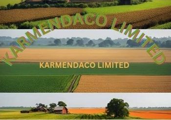 Product – product photo, Raw Maize products found from trusted suppliers, wholesalers, manufacturers & exporters Listing