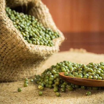 High Quality Green Mung Beans Whole Worldwide Wholesale for Markets Dried Farm Fresh - TRADECENTRIC LLC - United States