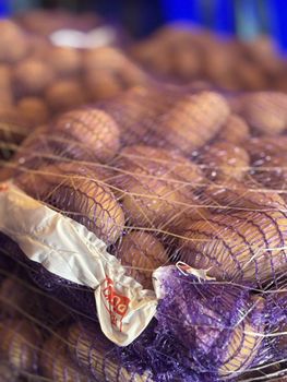 Potato Queen Anna – product photo, Common Potato products found from trusted suppliers, wholesalers, manufacturers & exporters Listing