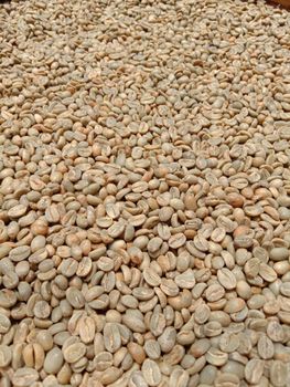 Roasted Coffee Beans and Coffee Beans from PT Litasari Armand Sukses Roasted Coffee Beans and Coffee Beans - PT Litasari Armand Sukses - Indonesia