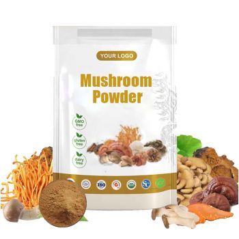 Organic mushroom extract Cordyceps/Shiitake/Maitake/Reishi/Chaga/Lions Mane Mushroom Blend Powder - Xi'an International Healthcare Factory Co., Ltd. - China