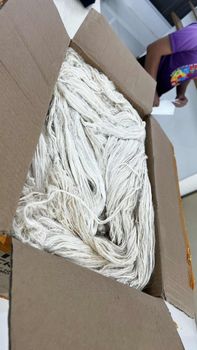 pineapple leaf fiber (PALF) - Southern Philippines Development Authority - Philippines