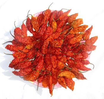 Ghost Pepper Powder Bhut Jolokia Powder Hot Chilli Pepper Jiyan Food Ingredients India - JIYAN FOOD INGREDIENTS - India