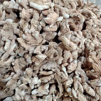 Dry Ginger from MY COCOA Dry Ginger - MY COCOA - Cameroon