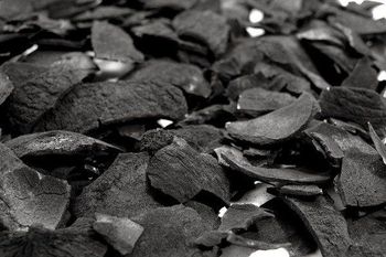 Wholesale Coconut Shell Charcoal smokeless charcoal/coal for Shisha 100% Free Tax No Sparks No Smell - CPW TRADE LTD - United Kingdom