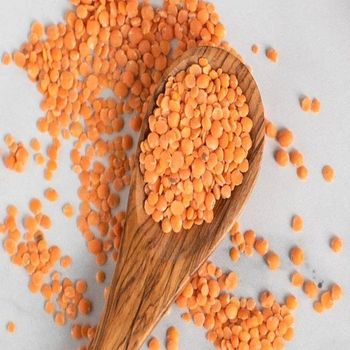Organic Premium Grade Red Lentils & Split Masoor Dal Bulk Package 12 Months Shelf Life - TRADECENTRIC LLC - United States