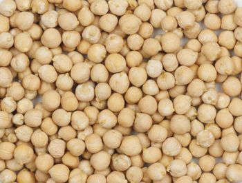 Chickpeas Purity ≥ 98% Moisture ≤ 12% Foreign Matter ≤ 1% Broken Damaged Grains ≤ 2% Product Location South Africa Shelf Life 12 Months Under Cool, Dry - BF GLOBAL TRADING (PTY) LTD - South Africa