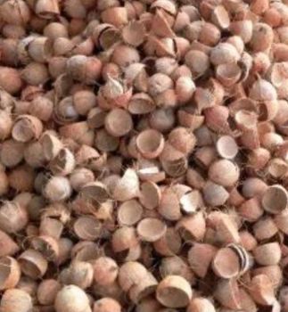 Coconut Shell – product photo, Coconut Shell Granular products found from trusted suppliers, wholesalers, manufacturers & exporters Listing