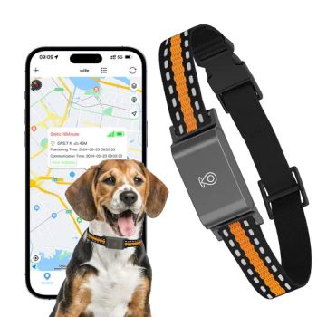 Real-Time GPS Pet Tracker Collar with Waterproof IP65 Health Monitor Pet Products - GoldenHour Innova Co., Ltd. - China