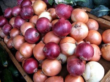 Fresh Red Onions  - FIN ALAMAK  - Russian Federation