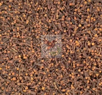 CLOVES from PT. GARUDA AGRI INDONESIA CLOVES - PT. GARUDA AGRI INDONESIA - Indonesia